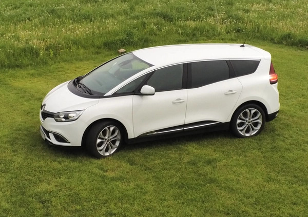 Renault Grand Scenic cena 64300 przebieg: 129801, rok produkcji 2019 z Rydzyna małe 704